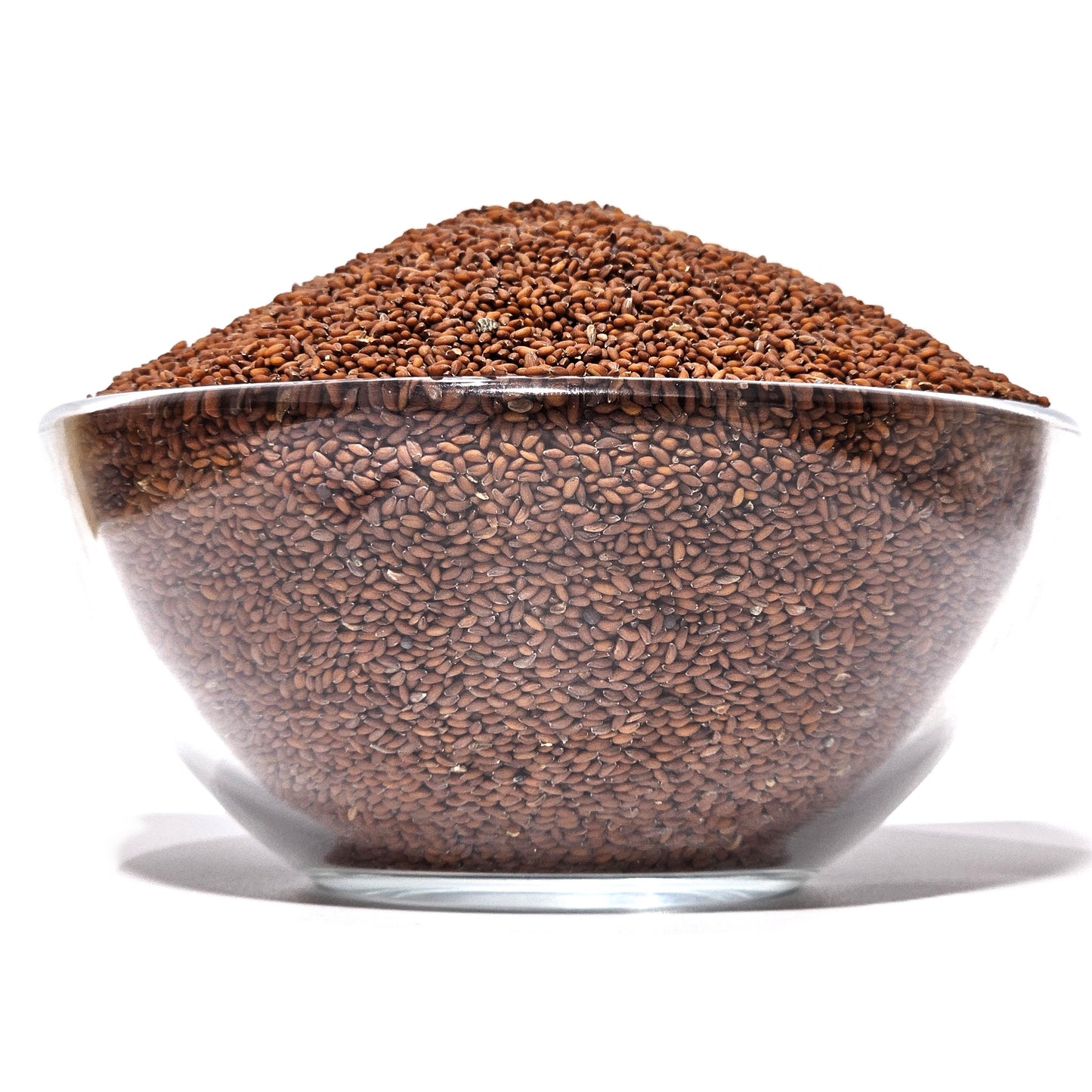 Asalio Seed (Ashali)