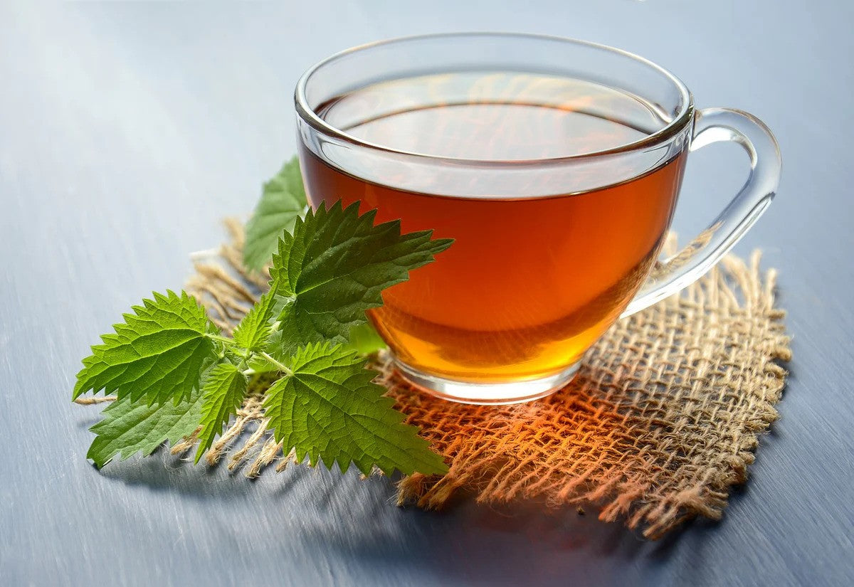 Nettle Leaf Green Tea