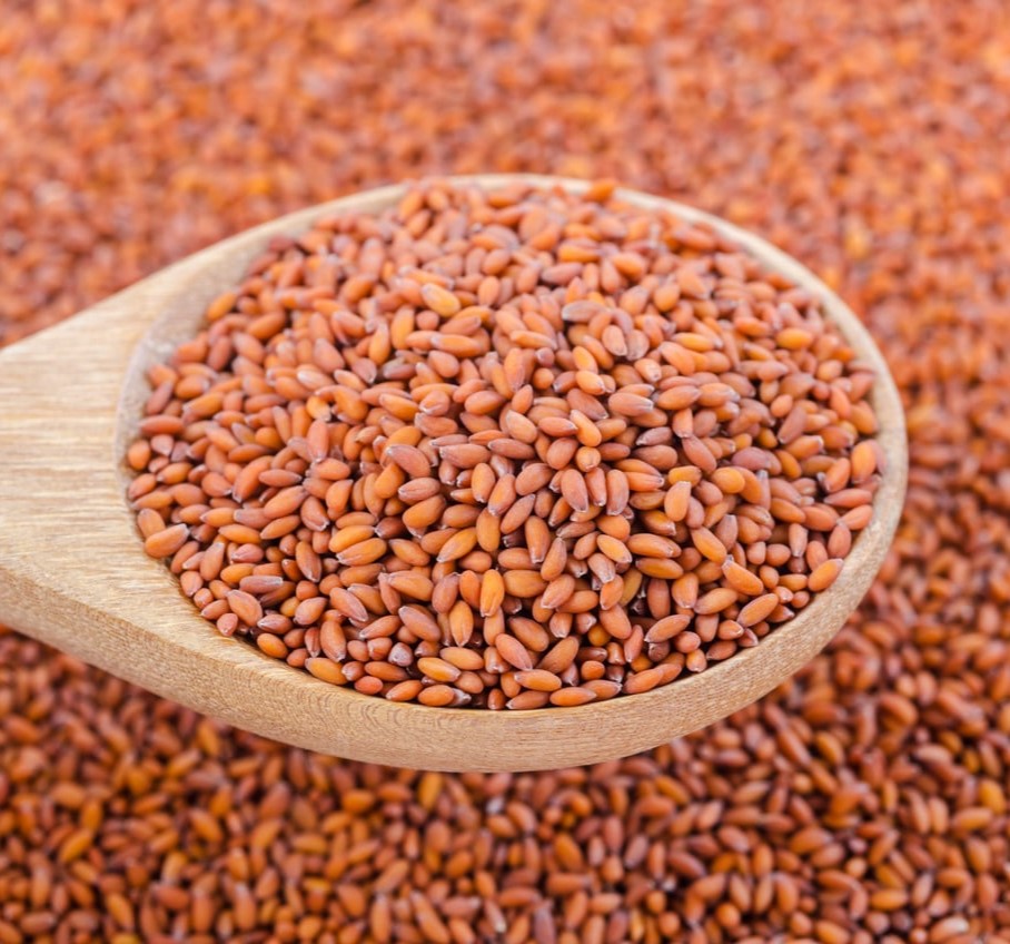 Asalio Seed (Ashali)
