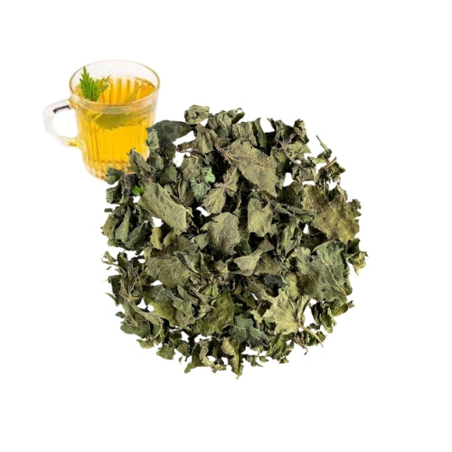 Nettle Leaf Green Tea