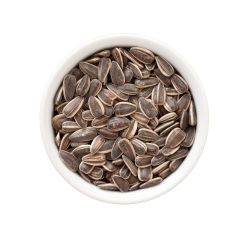 sunflower-seed-500g