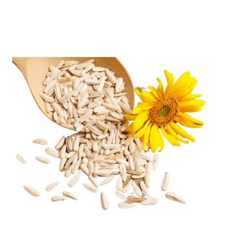 sunflower-seed-250g