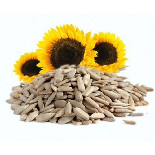 sunflower-seed-1kg