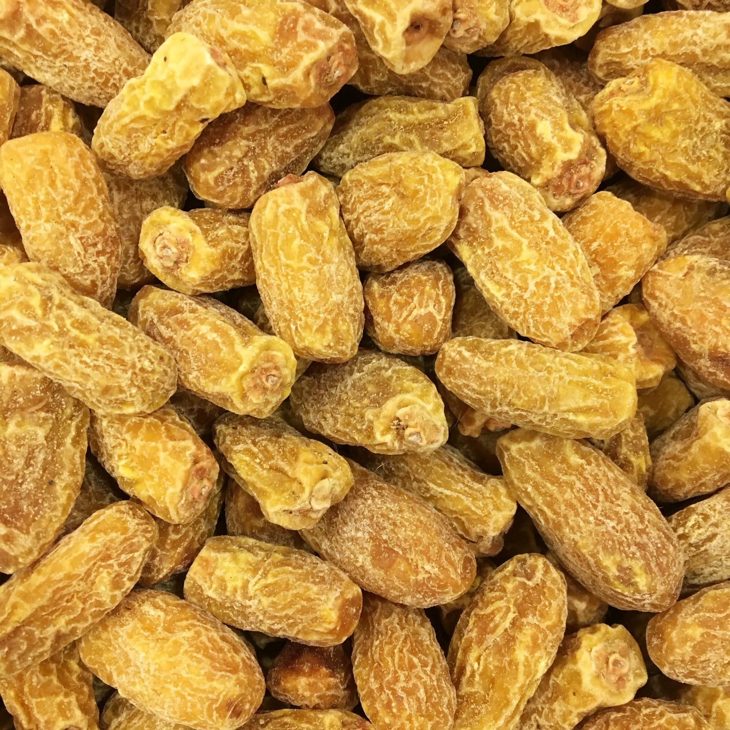 Dry Dates | Lot/510